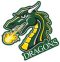 Tiffin University Dragons (NCAA div. II)